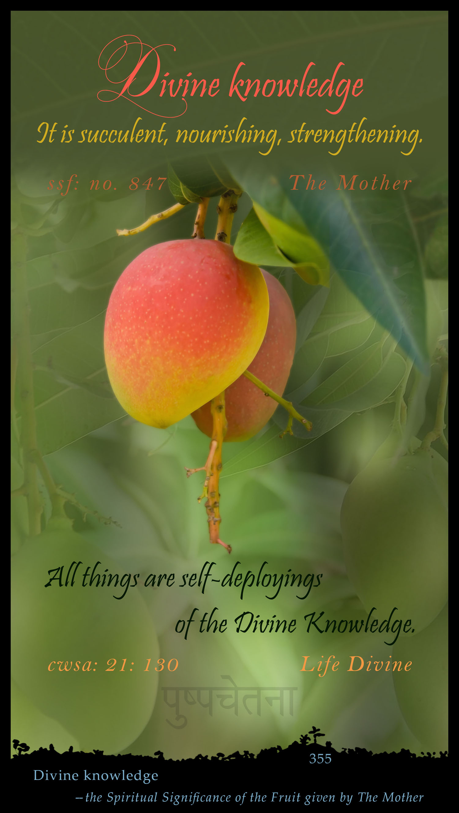 Divine Knowledge